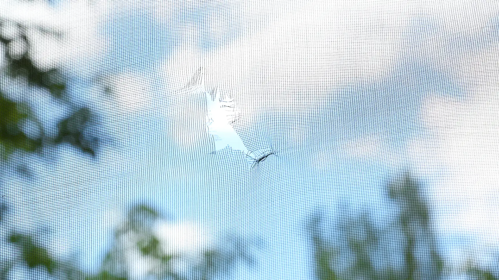 Lanai and Porch Screens